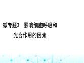 2024届高考生物考前冲刺素能提升2代谢微专题3影响细胞呼吸和光合作用的因素课件