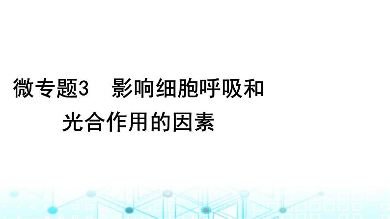 2024届高考生物考前冲刺素能提升2代谢微专题3影响细胞呼吸和光合作用的因素课件01