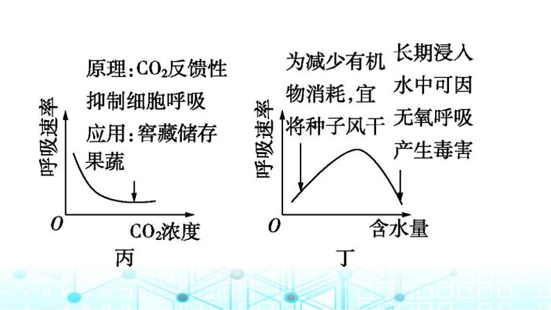 2024届高考生物考前冲刺素能提升2代谢微专题3影响细胞呼吸和光合作用的因素课件04