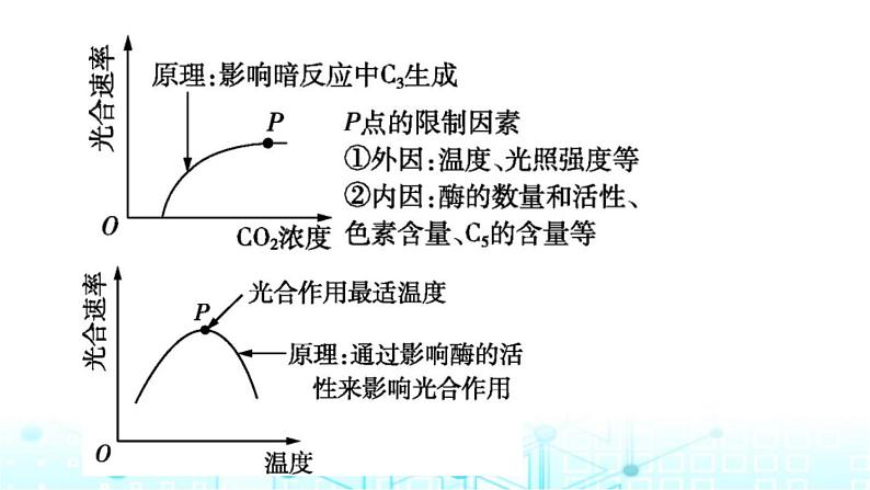 2024届高考生物考前冲刺素能提升2代谢微专题3影响细胞呼吸和光合作用的因素课件第6页