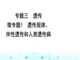 2024届高考生物考前冲刺素能提升3遗传微专题1遗传规律、伴性遗传和人类遗传病课件