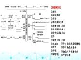 2024届高考生物考前冲刺素能提升3遗传微专题1遗传规律、伴性遗传和人类遗传病课件