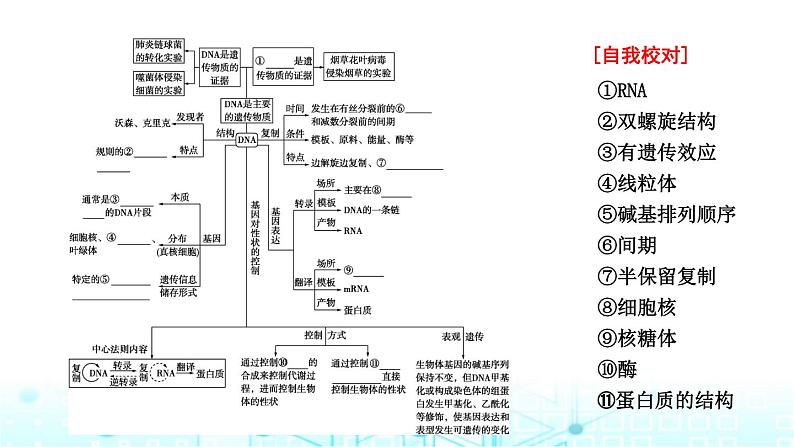 2024届高考生物考前冲刺素能提升3遗传微专题2遗传的分子基础课件04