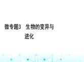 2024届高考生物考前冲刺素能提升3遗传微专题3生物的变异与进化课件