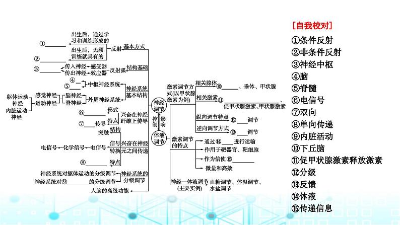 2024届高考生物考前冲刺素能提升4调节微专题1神经调节和体液调节课件04