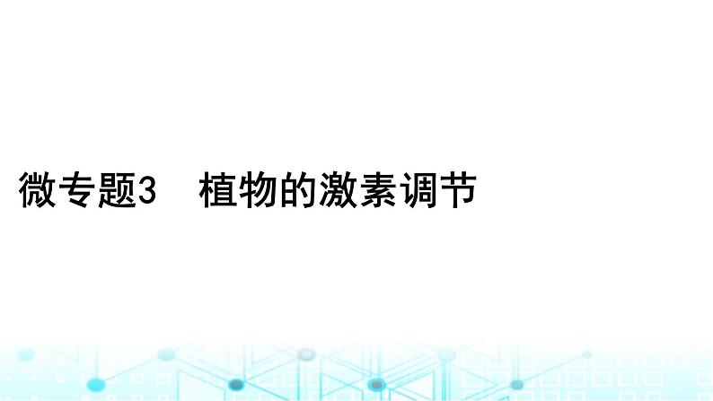 2024届高考生物考前冲刺素能提升4调节微专题3植物的激素调节课件第1页