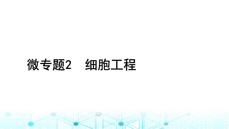 2024届高考生物考前冲刺素能提升6生物技术与工程微专题2细胞工程课件01