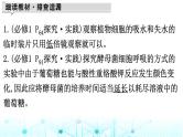 2024届高考生物考前冲刺素能提升7实验与探究微专题1教材基础实验课件