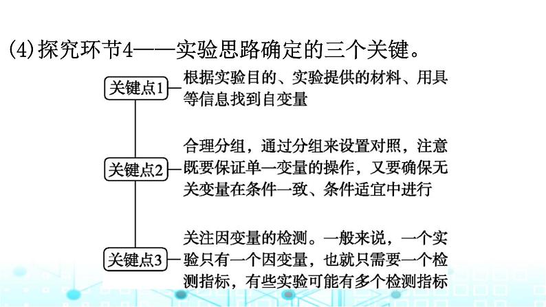 2024届高考生物考前冲刺素能提升7实验与探究微专题2实验设计、分析与评价课件第7页