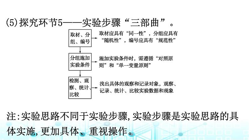 2024届高考生物考前冲刺素能提升7实验与探究微专题2实验设计、分析与评价课件第8页