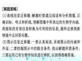2024届高考生物考前冲刺增分指导易错点2不能准确提取图表有效信息课件