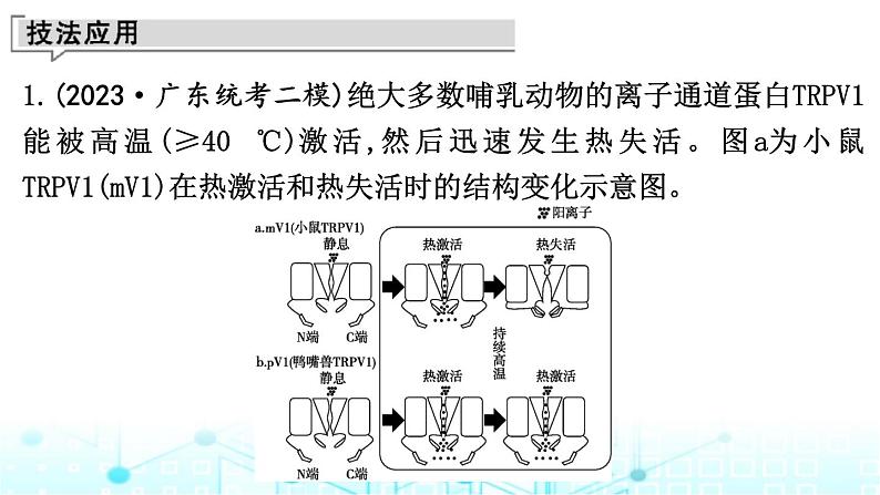 2024届高考生物考前冲刺增分指导易错点2不能准确提取图表有效信息课件第5页