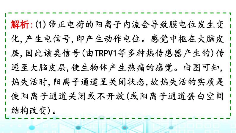 2024届高考生物考前冲刺增分指导易错点2不能准确提取图表有效信息课件第7页