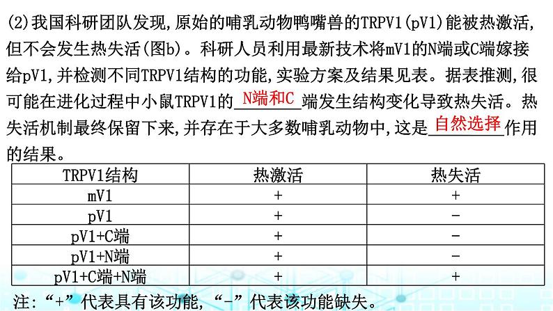 2024届高考生物考前冲刺增分指导易错点2不能准确提取图表有效信息课件第8页