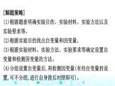 2024届高考生物考前冲刺增分指导易错点3实验思路书写无思路课件