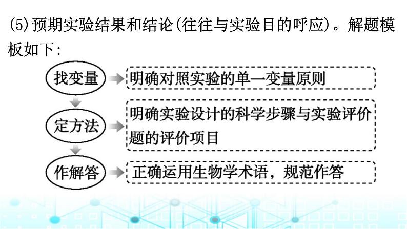 2024届高考生物考前冲刺增分指导易错点3实验思路书写无思路课件第4页