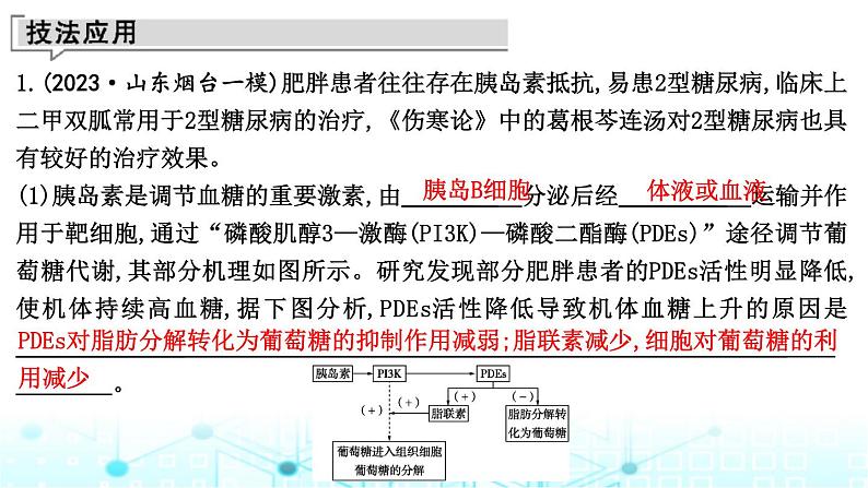 2024届高考生物考前冲刺增分指导易错点3实验思路书写无思路课件第5页