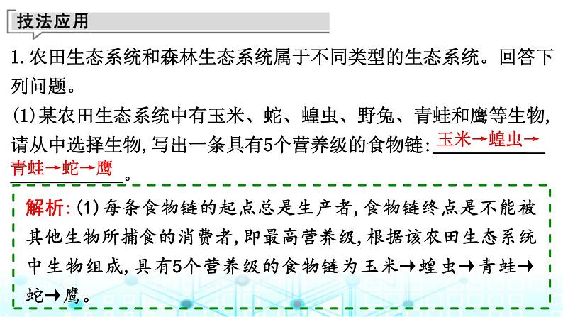 2024届高考生物考前冲刺增分指导易错点5长句应答内容不完整课件第5页