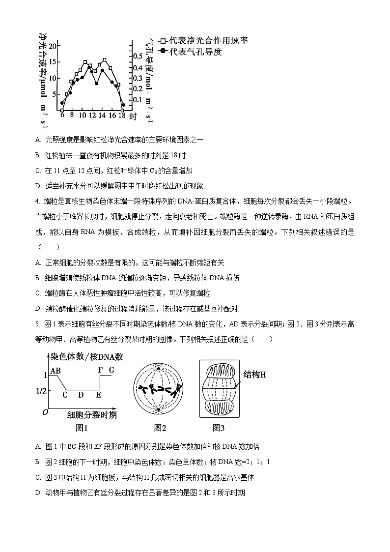 2024届安徽省合肥市高三下学期适应性联考生物试题（原卷版）第2页