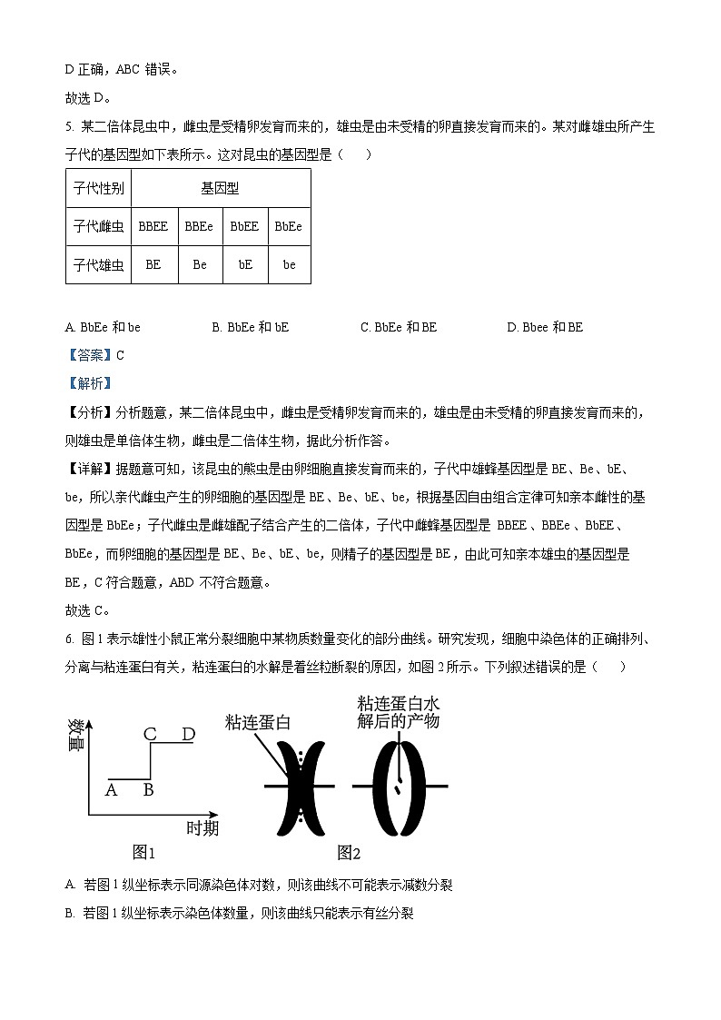 山东省济宁市任城区济宁市第一中学2023-2024学年高一下学期5月期中生物试题（解析版）第3页