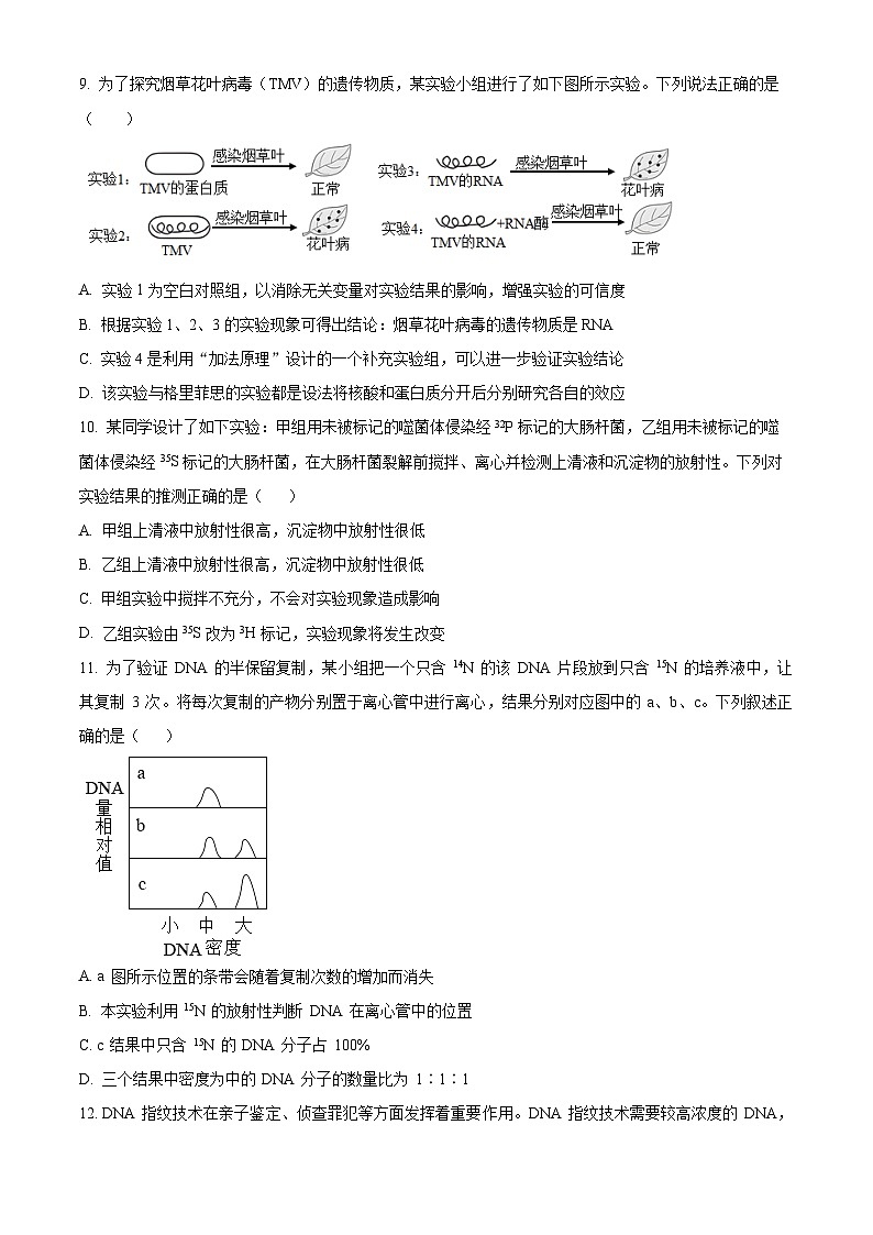 山东省济宁市任城区济宁市第一中学2023-2024学年高一下学期5月期中生物试题（原卷版）第3页