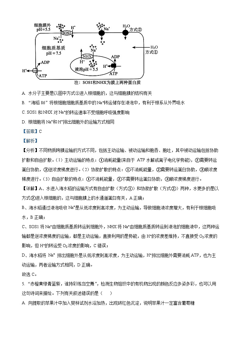 江苏省南通市海安高级中学2023-2024学年高二下学期期中考试生物试题（原卷版+解析版）03
