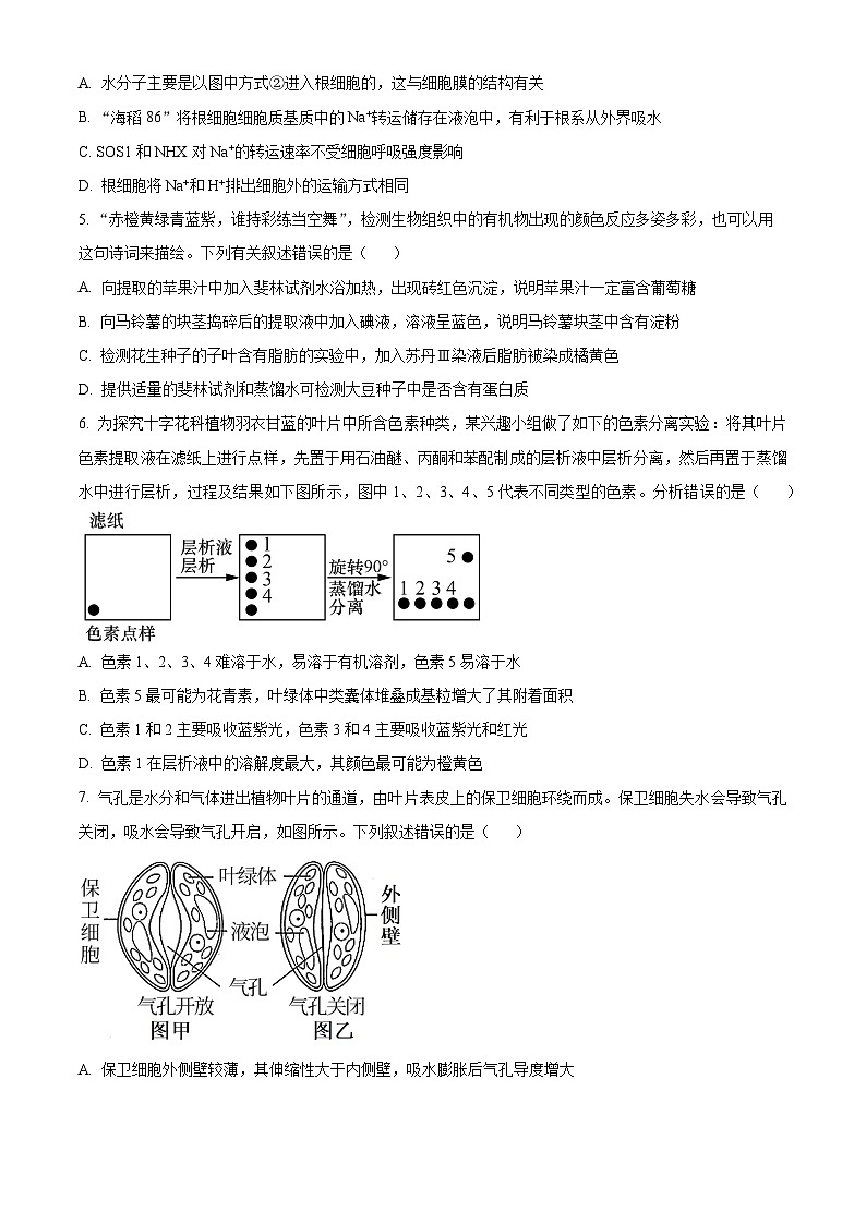 江苏省南通市海安高级中学2023-2024学年高二下学期期中考试生物试题（原卷版+解析版）02