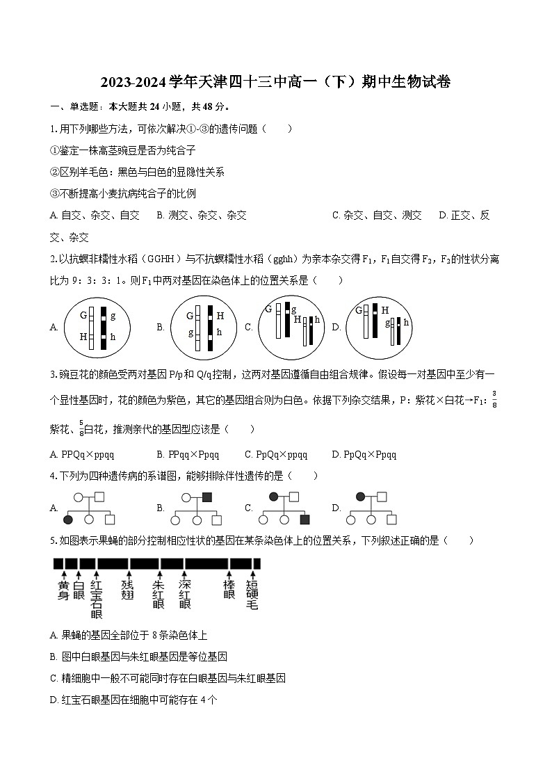 2023-2024学年天津四十三中高一（下）期中生物试卷（含解析）01