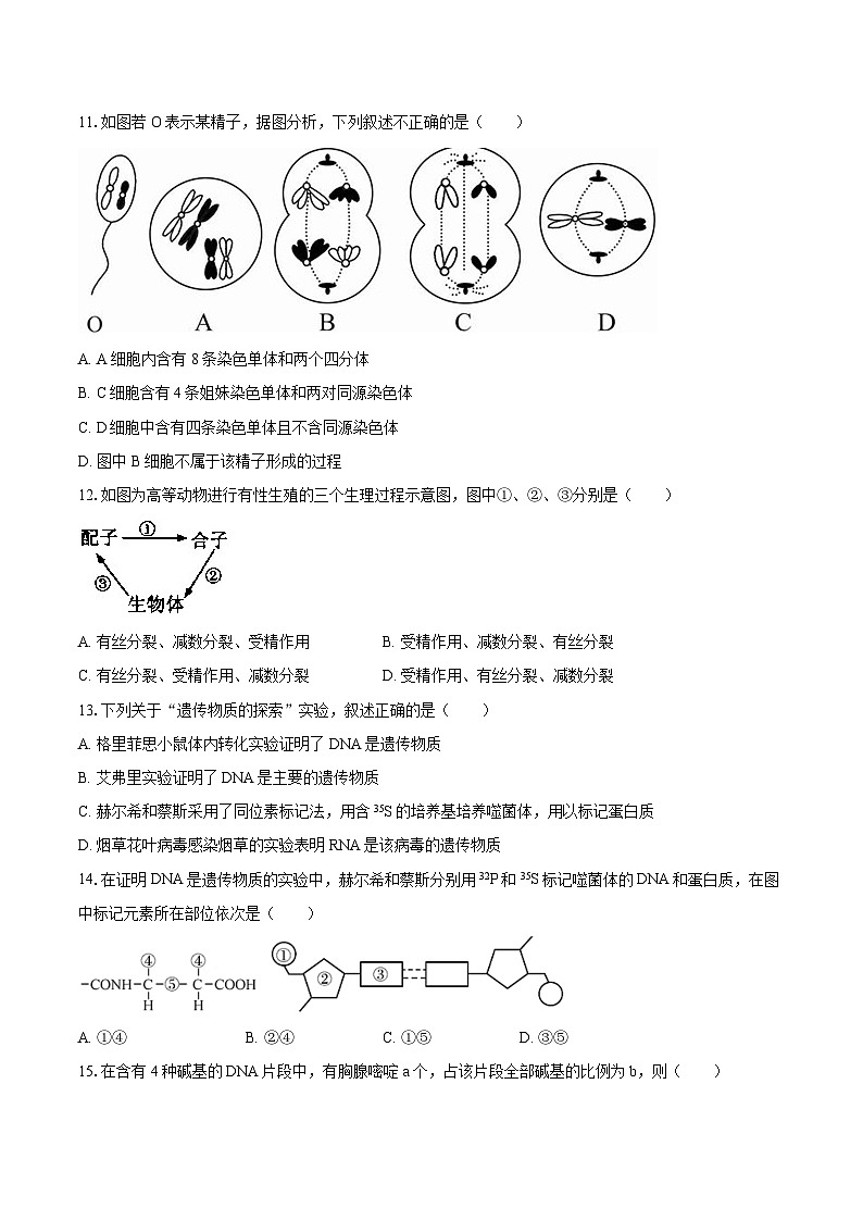 2023-2024学年天津四十三中高一（下）期中生物试卷（含解析）03