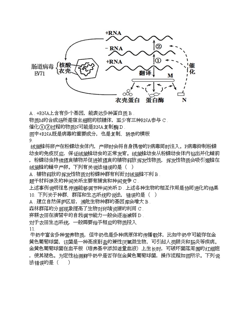 广东省揭阳市2024届高三二模考试生物学试卷03