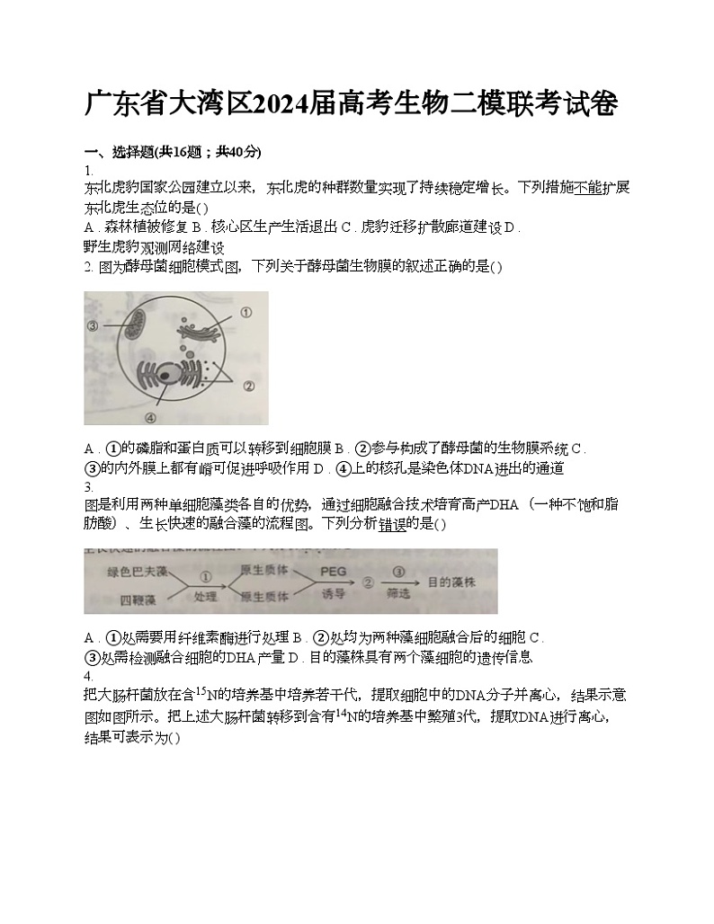 广东省大湾区2024届高考生物二模联考试卷第1页