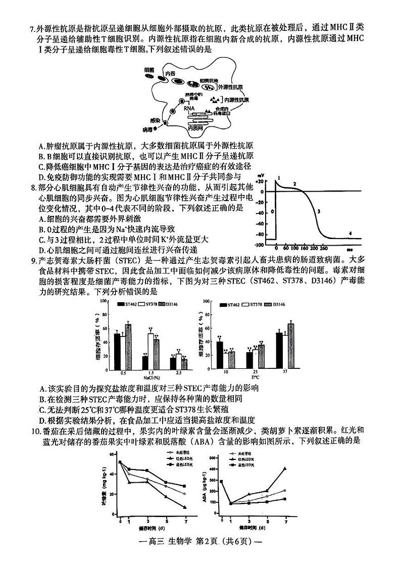 2024届江西省南昌市高三第三次模拟考试生物试卷+答案（南昌三模）第2页