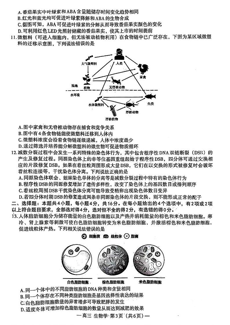 2024届江西省南昌市高三第三次模拟考试生物试卷+答案（南昌三模）第3页