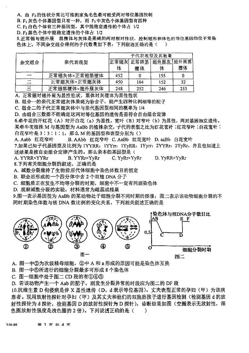天津市南仓中学2023-2024学年高一下学期期中生物试卷02