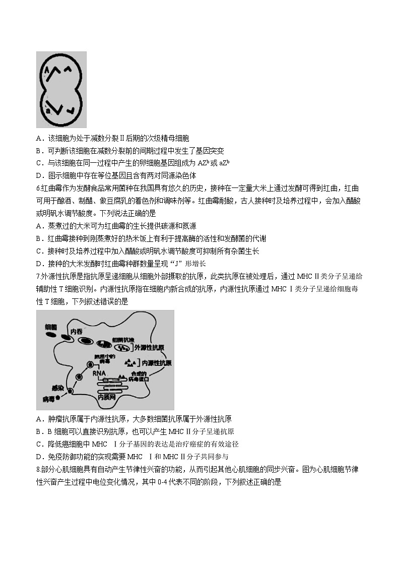 2024届江西省南昌市高三下学期第三次模拟测试生物试题第2页