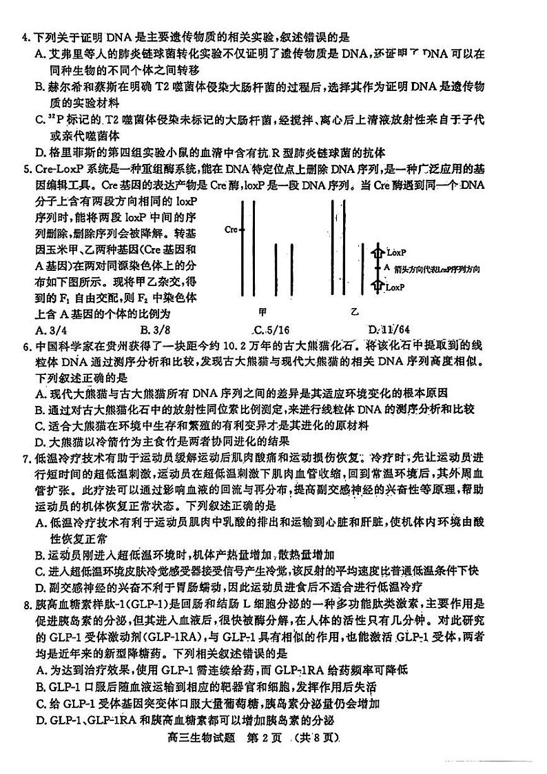 2024届山东省济南市高考针对性训练下学期三模 生物试卷及答案02