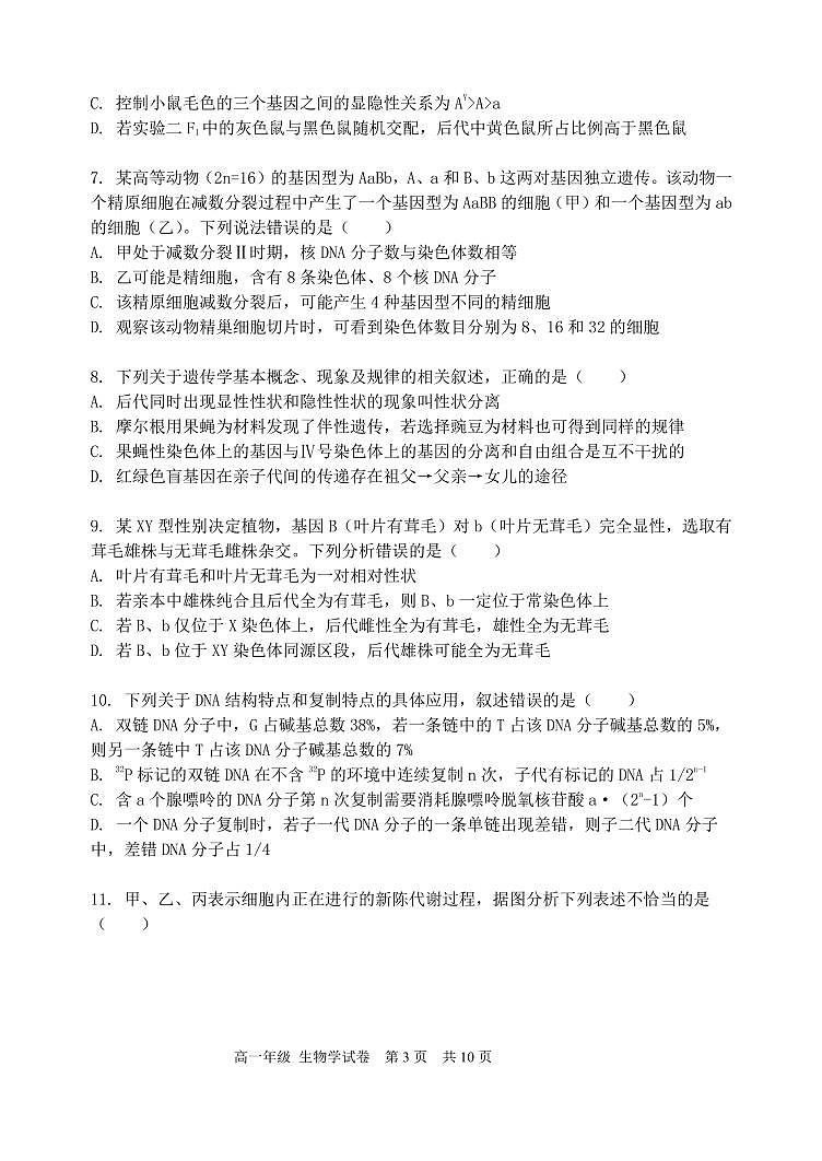 辽宁省沈阳市省重点中学五校联考2023-2024学年高一下学期期中考试生物试题03