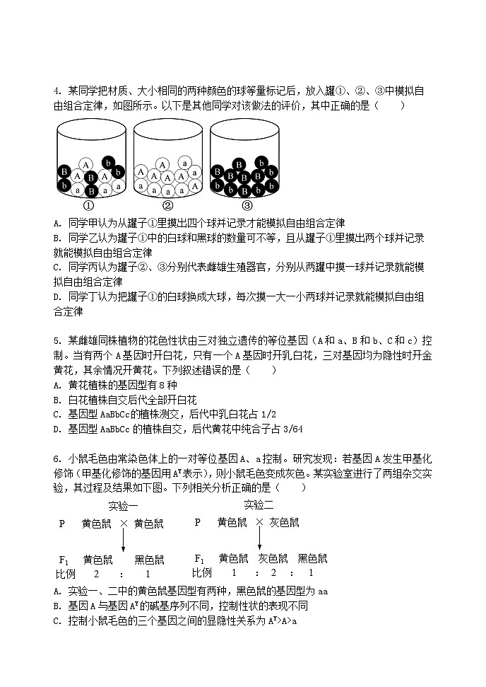 辽宁省沈阳市省重点中学五校联考2023-2024学年高一下学期期中考试生物试题02