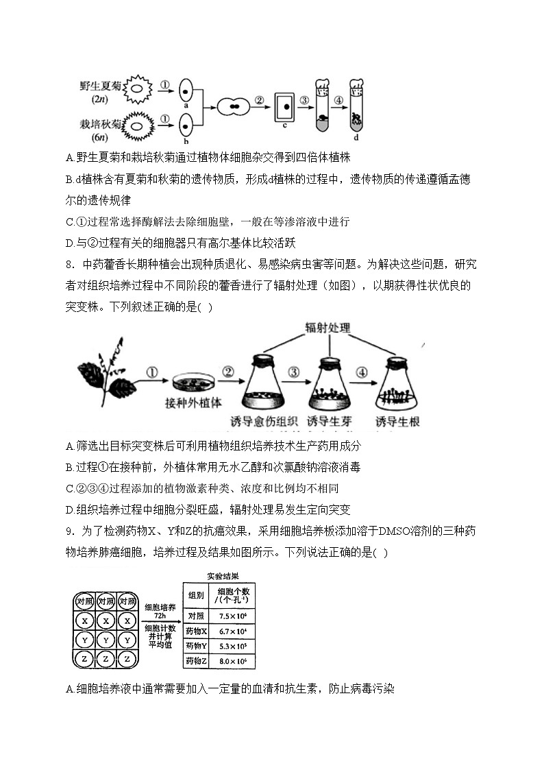 青神中学校2023-2024学年高二下学期期中考试生物试卷(含答案)第3页
