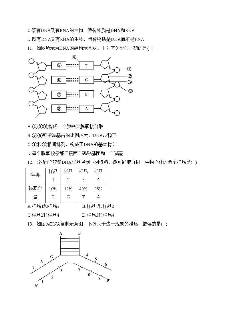 石嘴山市第一中学2023-2024学年高一下学期5月期中考试生物试卷(含答案)03