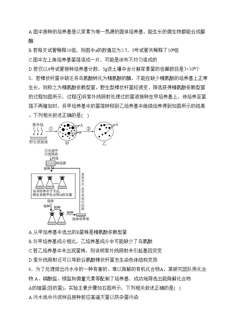 四川省绵阳南山中学2023-2024学年高二下学期期中考试生物试卷(含答案)02