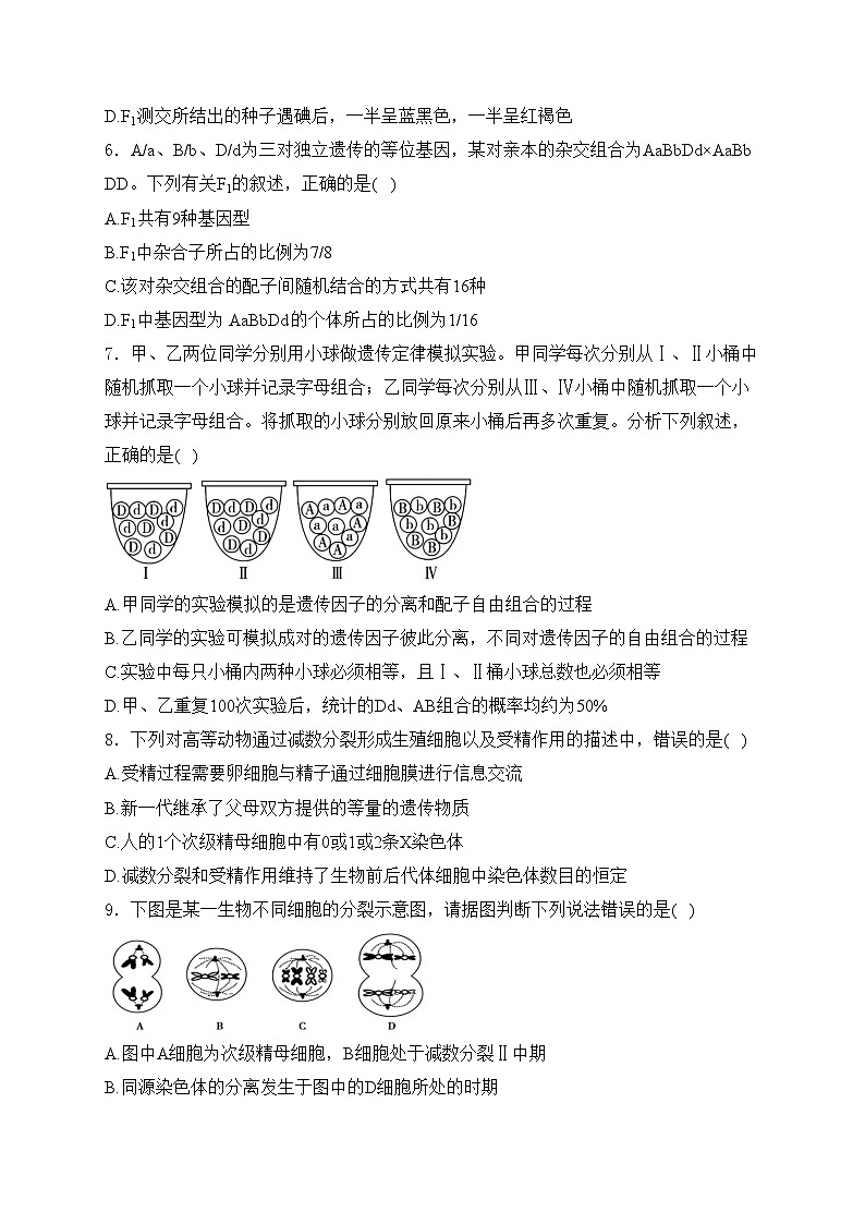 四川省绵阳市三台县2023-2024学年高一下学期期中考试生物试卷(含答案)02