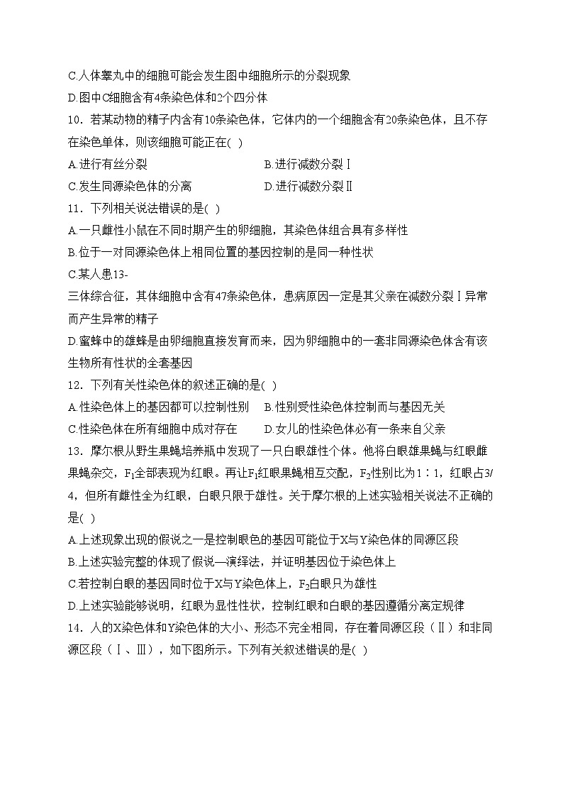 四川省绵阳市三台县2023-2024学年高一下学期期中考试生物试卷(含答案)03