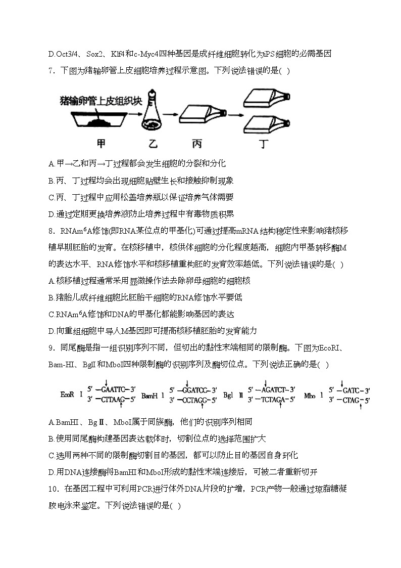 招远市第二中学2023-2024学年高二下学期期中学业水平诊断试卷生物试卷(含答案)第3页