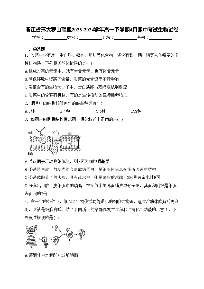 浙江省环大罗山联盟2023-2024学年高一下学期4月期中考试生物试卷(含答案)第1页