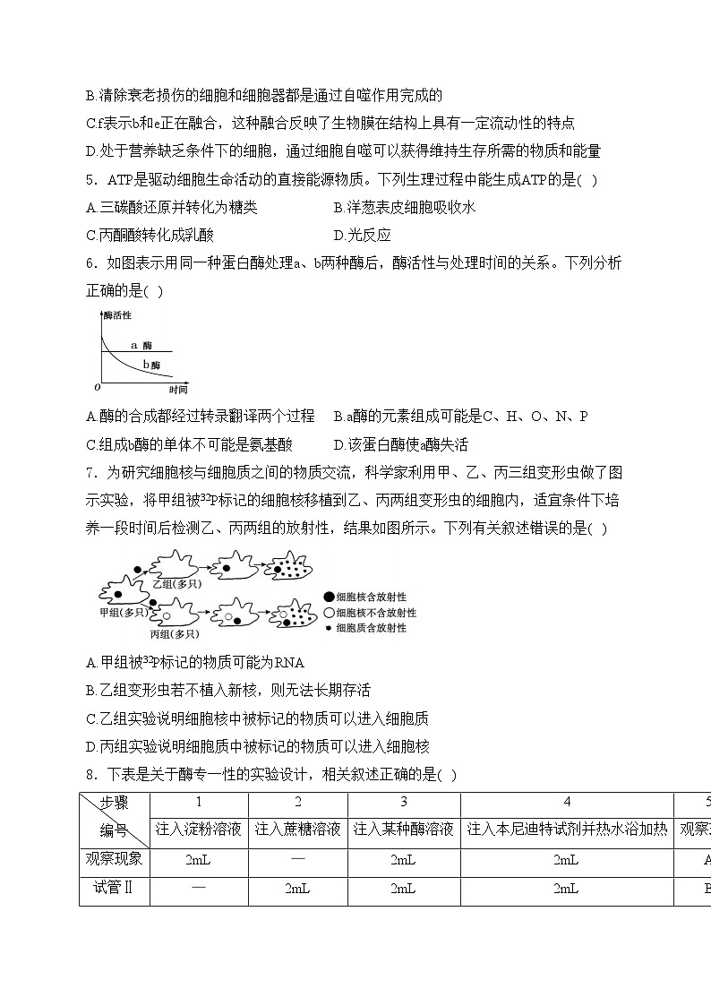 浙江省环大罗山联盟2023-2024学年高一下学期4月期中考试生物试卷(含答案)第2页