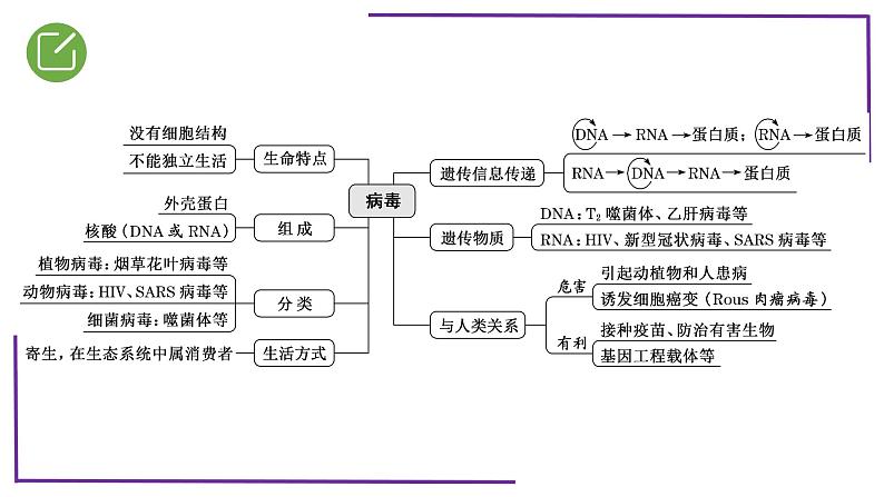 精讲01 病毒-【备战一轮】最新高考生物一轮复习名师精讲课件第5页