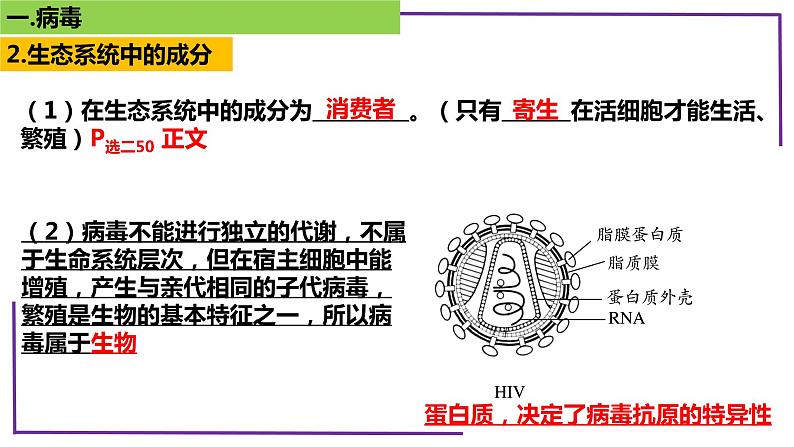 精讲01 病毒-【备战一轮】最新高考生物一轮复习名师精讲课件第8页