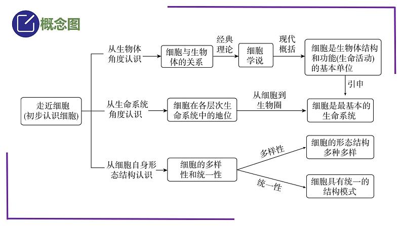 精讲02 生命系统的结构层次-【备战一轮】最新高考生物一轮复习名师精讲课件第5页