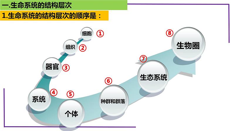 精讲02 生命系统的结构层次-【备战一轮】最新高考生物一轮复习名师精讲课件第6页